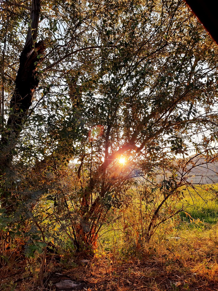 sunrise