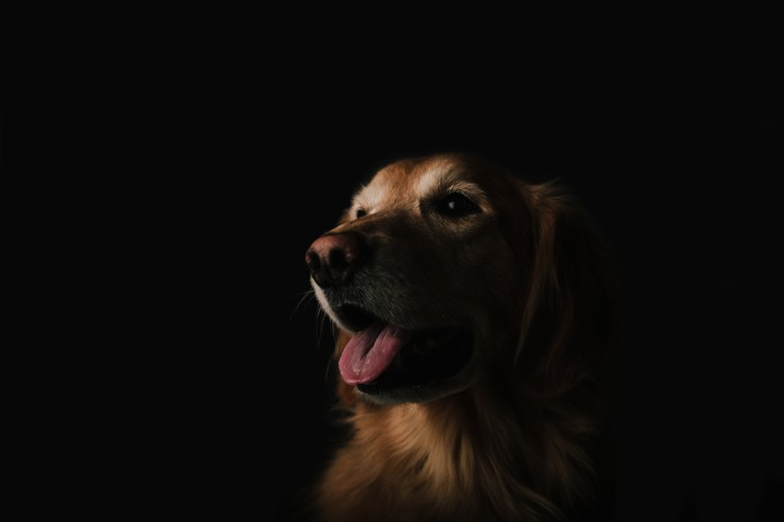SUPER HDR 10+ OLED