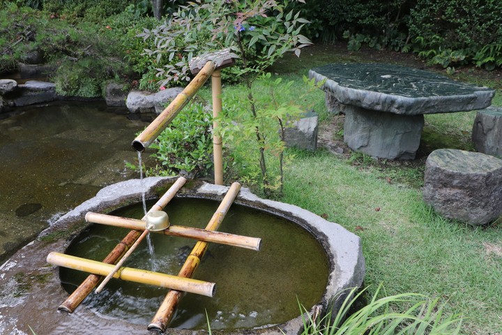 Japanese Garden