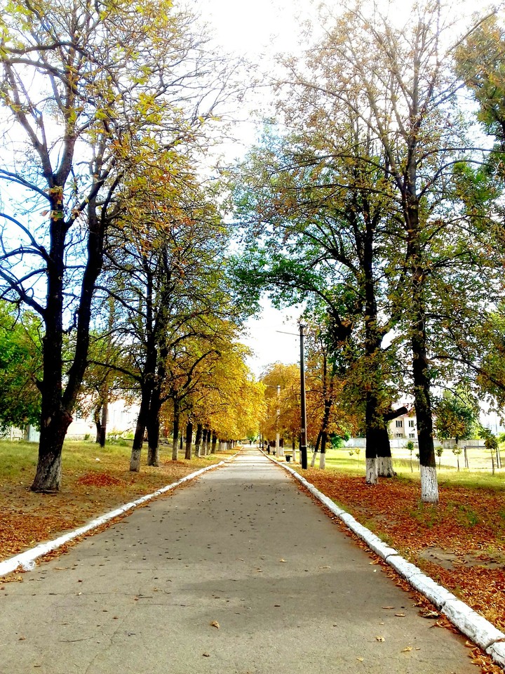 Осень