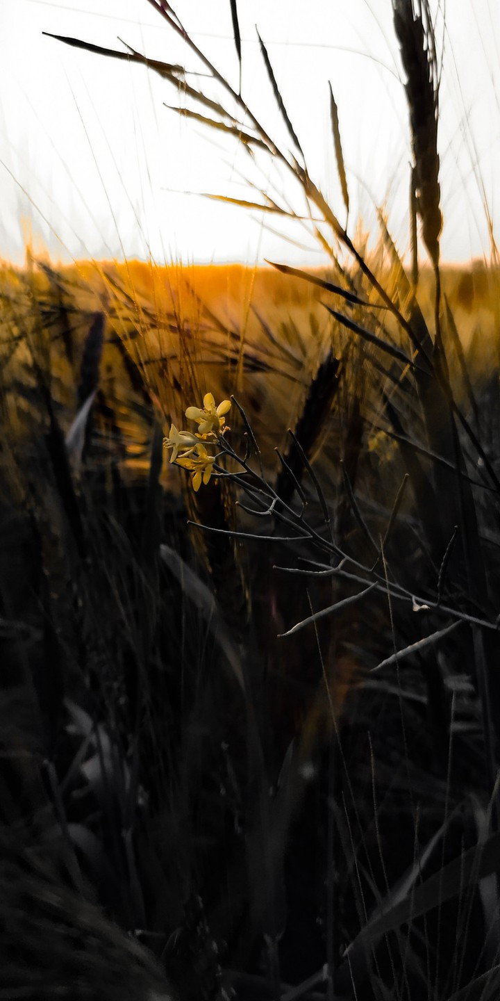 Nature @its best...
