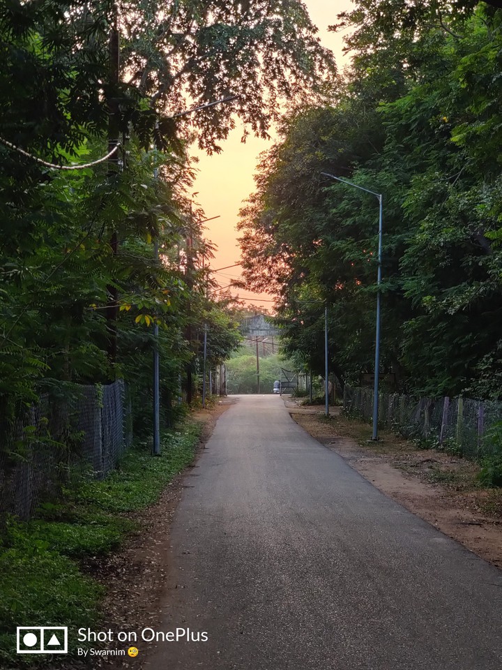 Orange Sky scene in Sunset