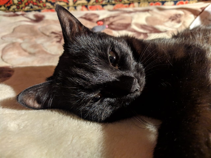 I like to sleep on a big bed?