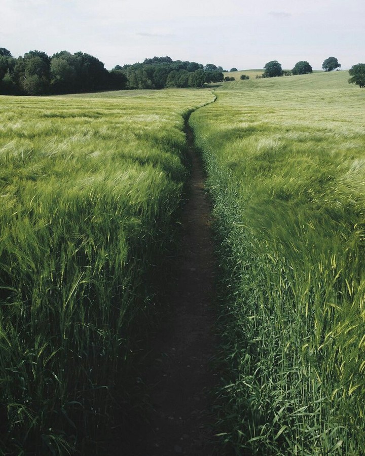 nature