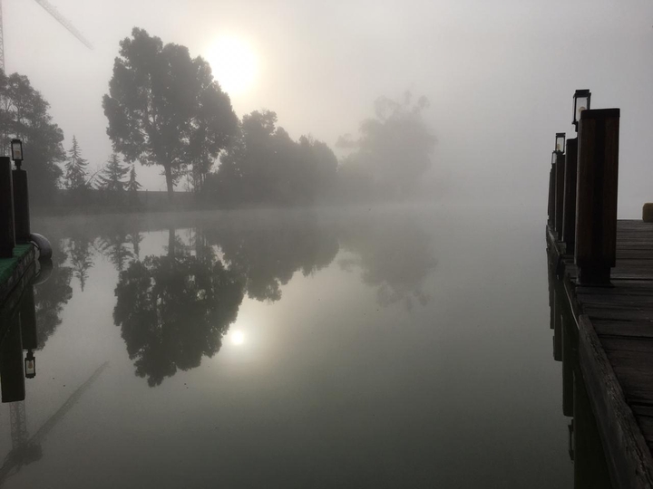 Lago neblina