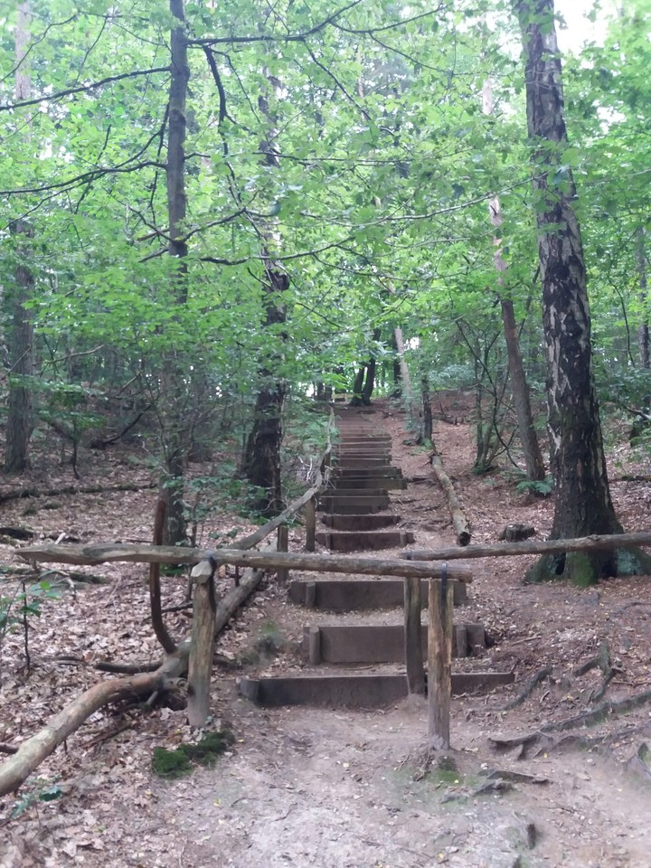 wandelpad