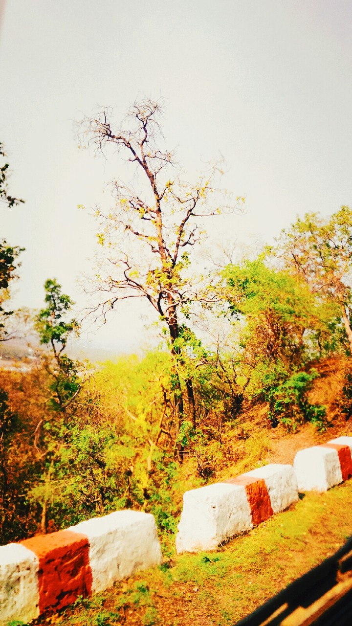 nature love