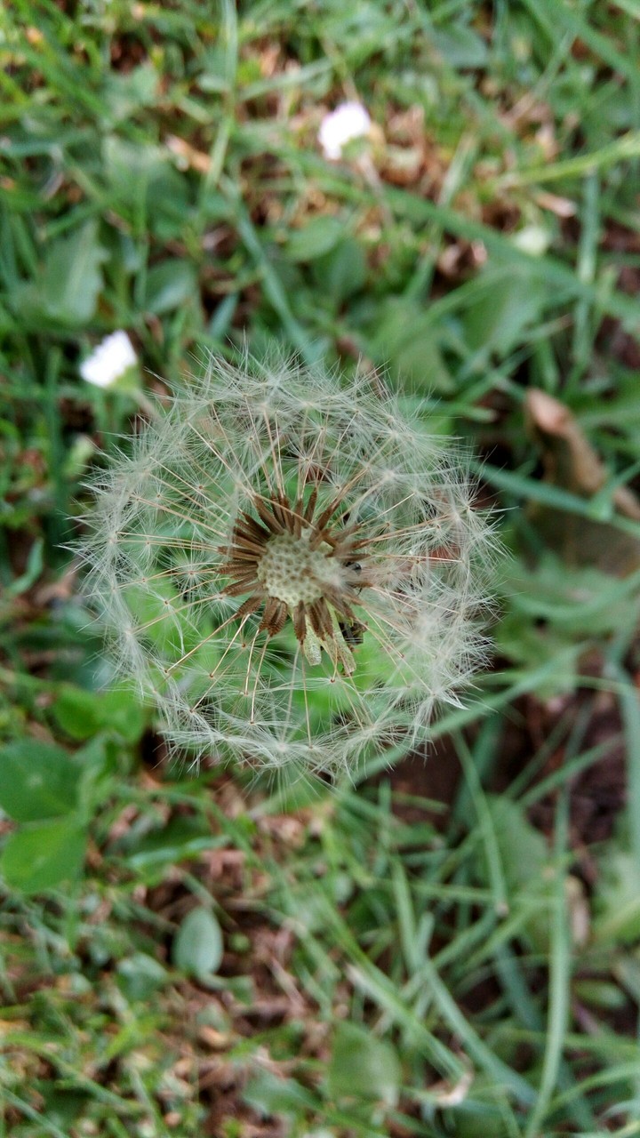 Beautiful Nature