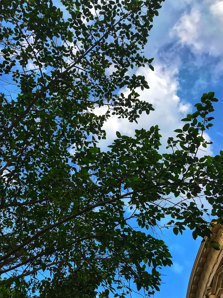 blue sky