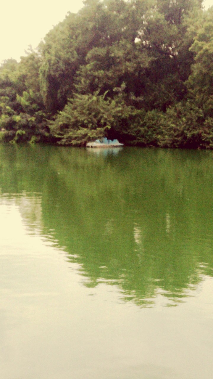 abandoned boat