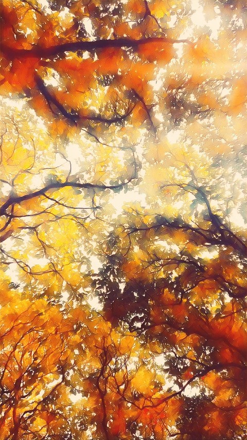 trees!