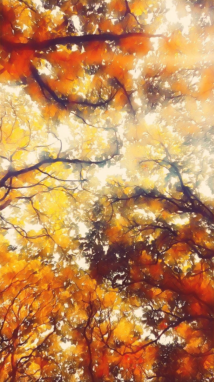 trees!