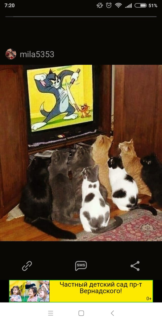 приколы