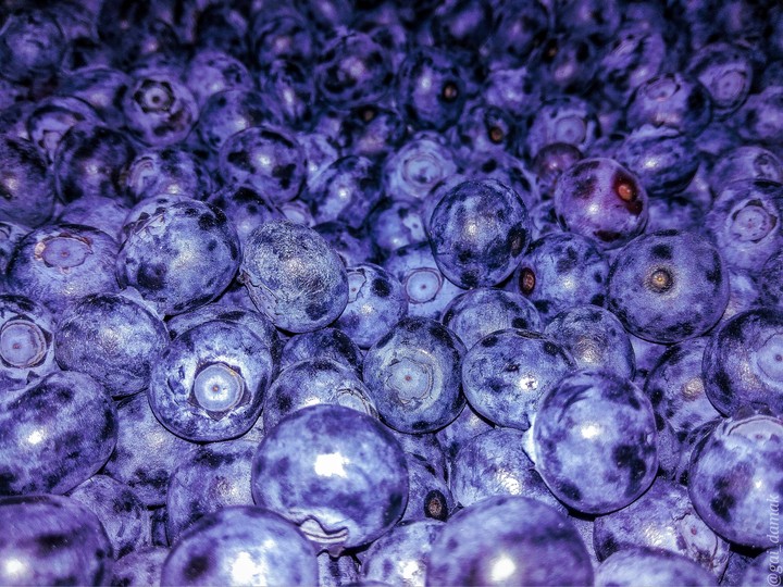 blueberry