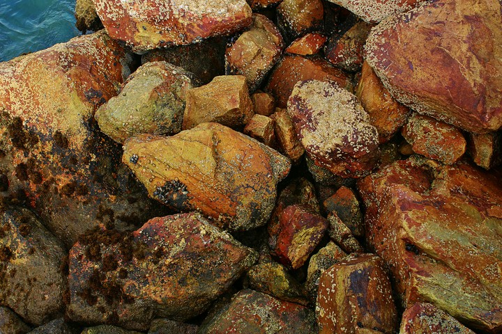 Munronelphotography