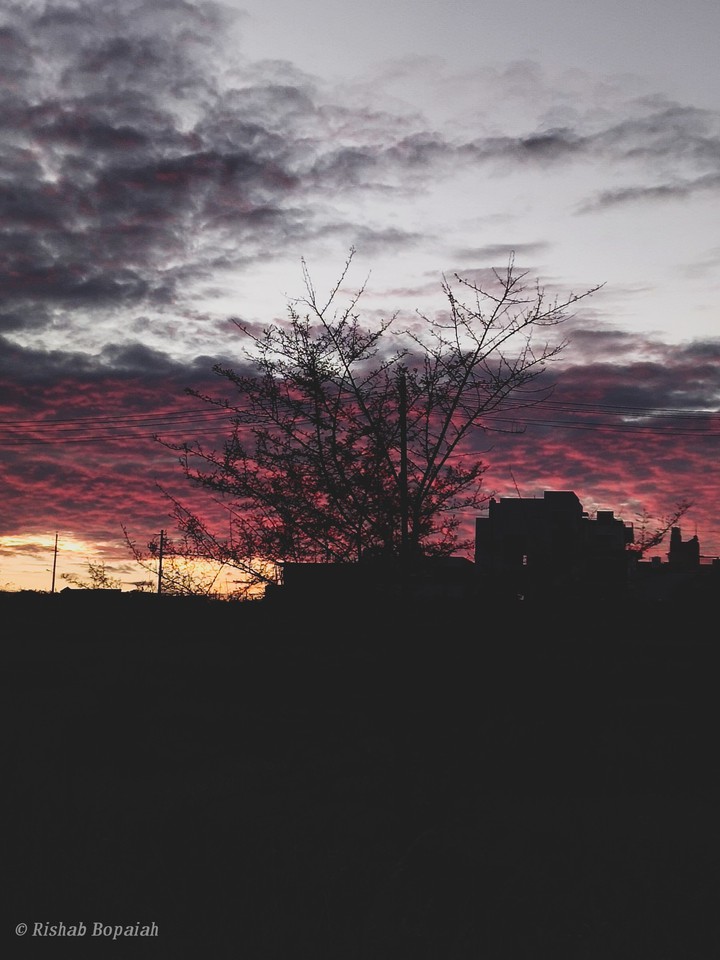 pink sky