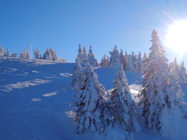 Morning on Kopaonik