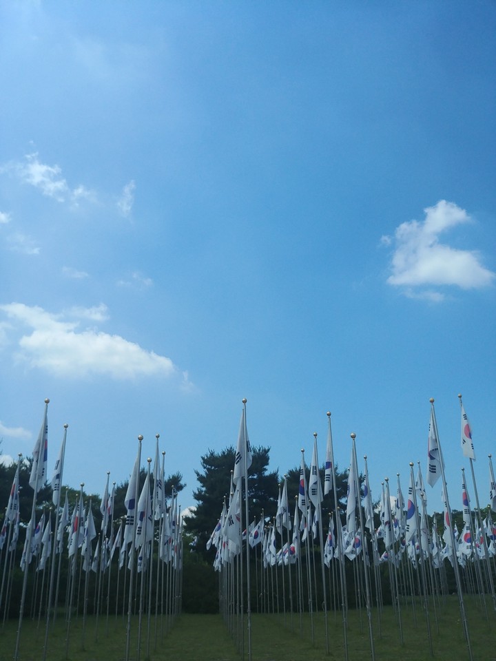 Korean Flag