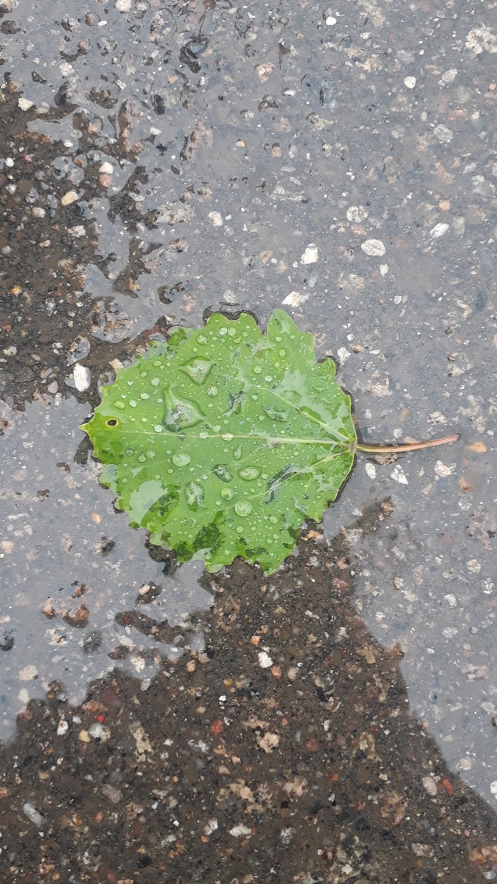 after rain