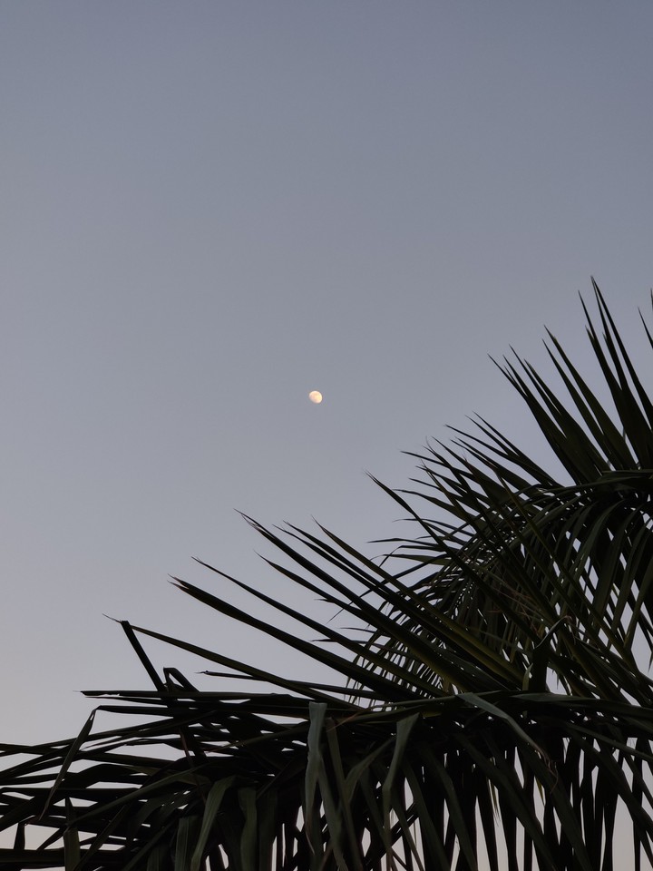 Moon ?
