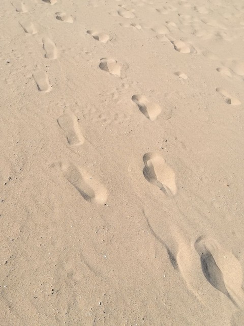 un día de playa