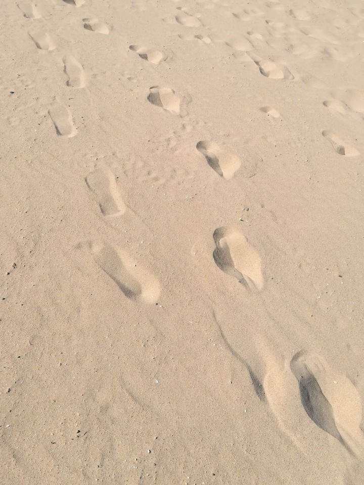 un día de playa