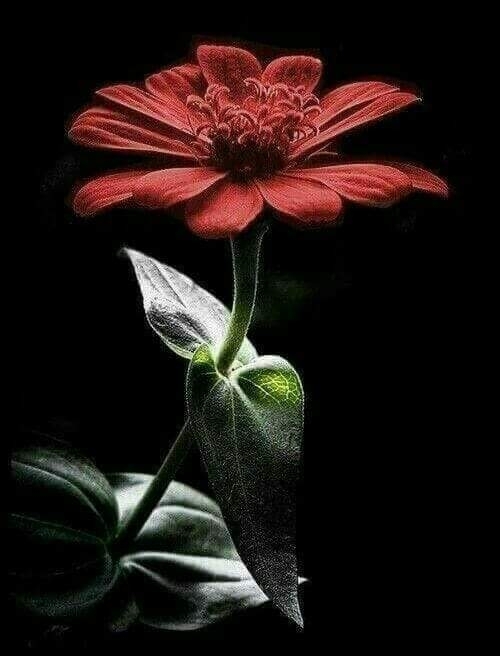 Beautiful..