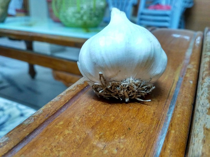 Onion