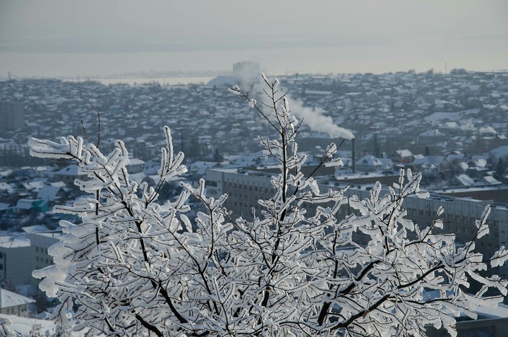 Winter
