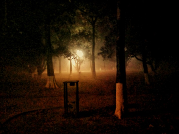 Mohali 6 Phase Park