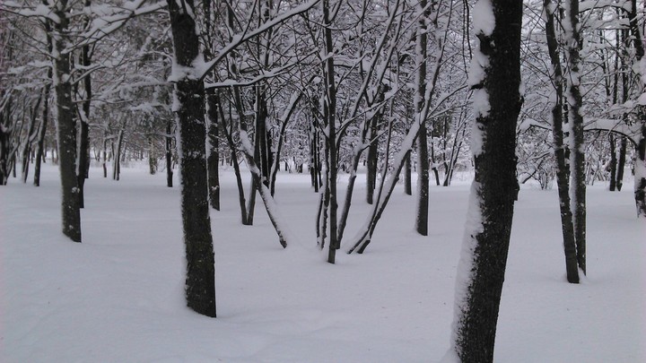 snow