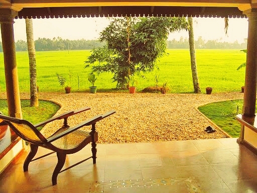 Beautiful view