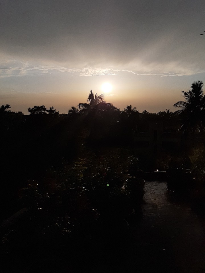 sun