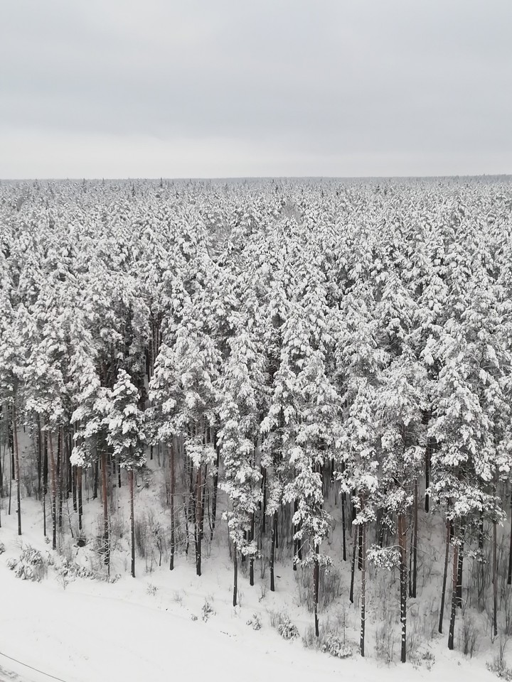 winter