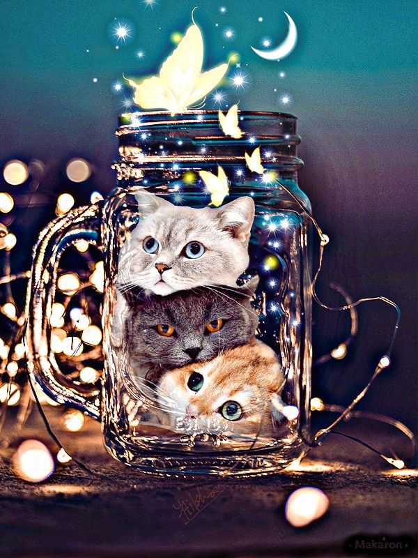 The outside world is scary & dangerous, we're all safe here