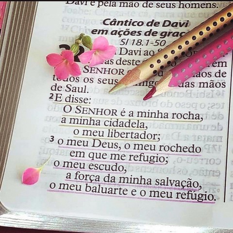 Versículos