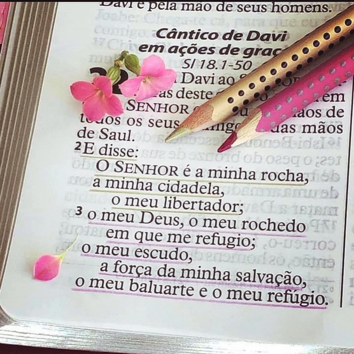 Versículos