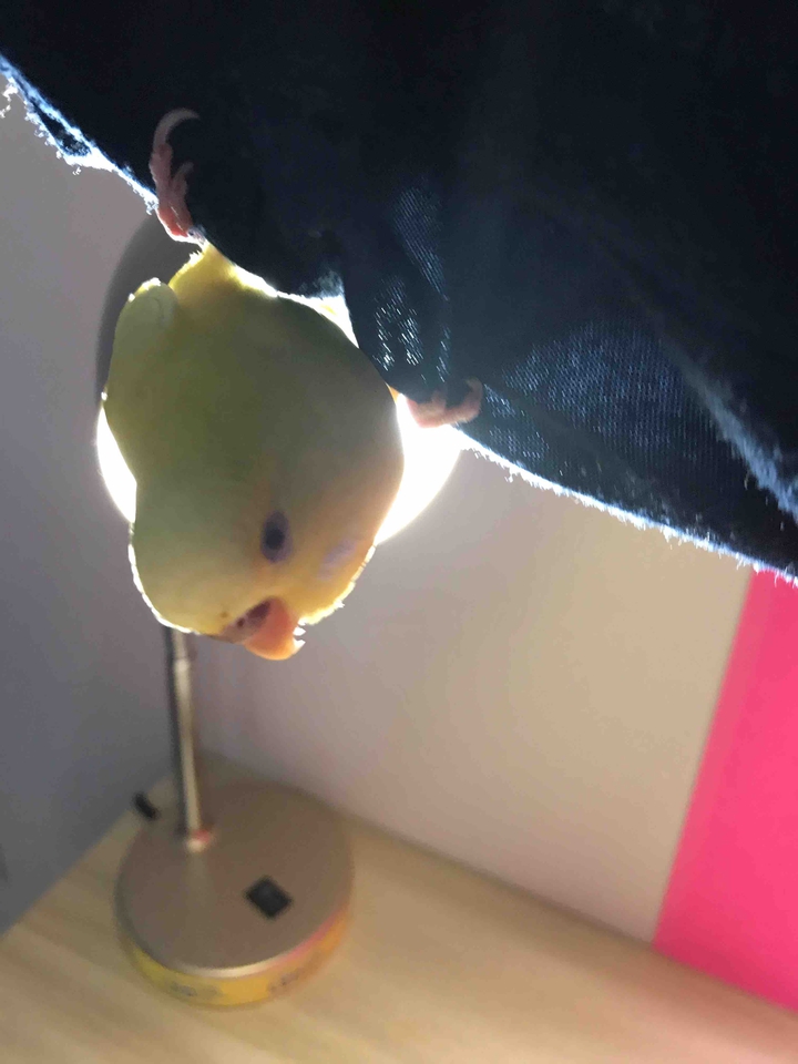 am I cute
