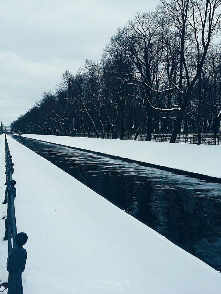 Winter Saint-Petersburg