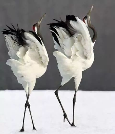 ,