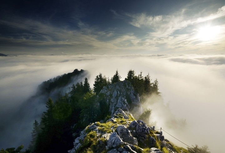 MountainGrass