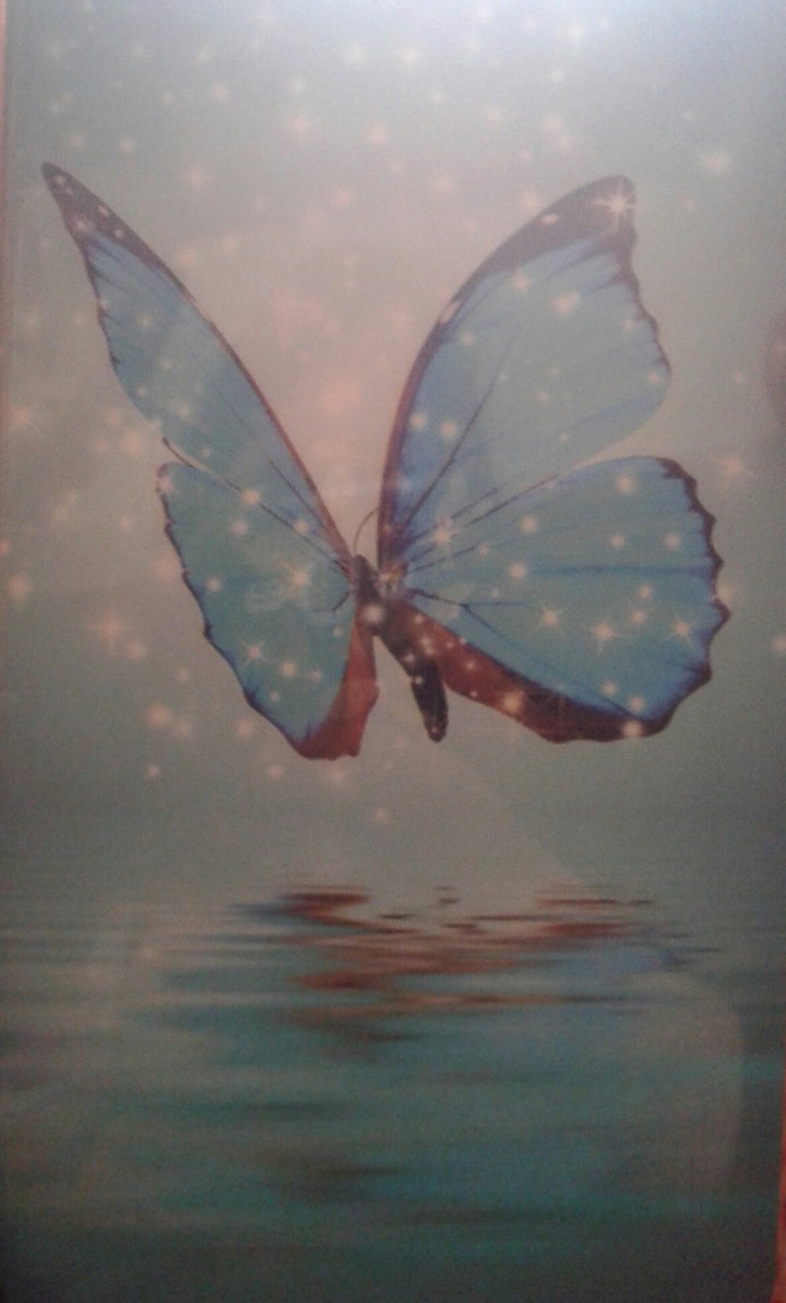 farfalla