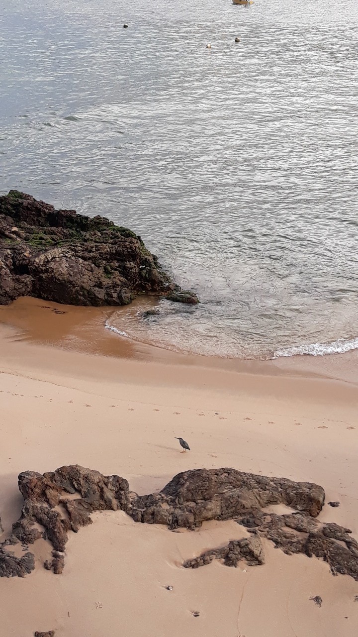 Praia