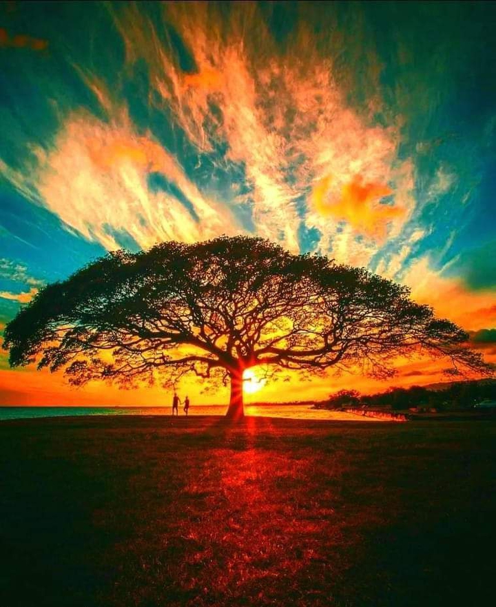 A Kaleidoscope of Colors ❤