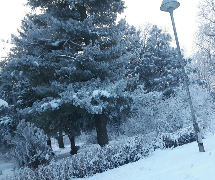 winter ❄⛄