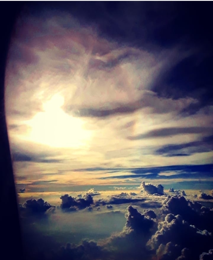 a beautiful lie