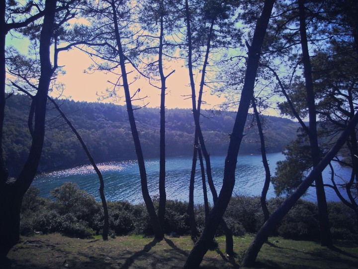 nature