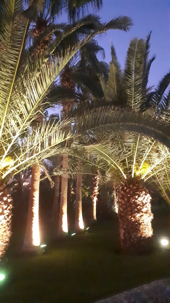 My Click