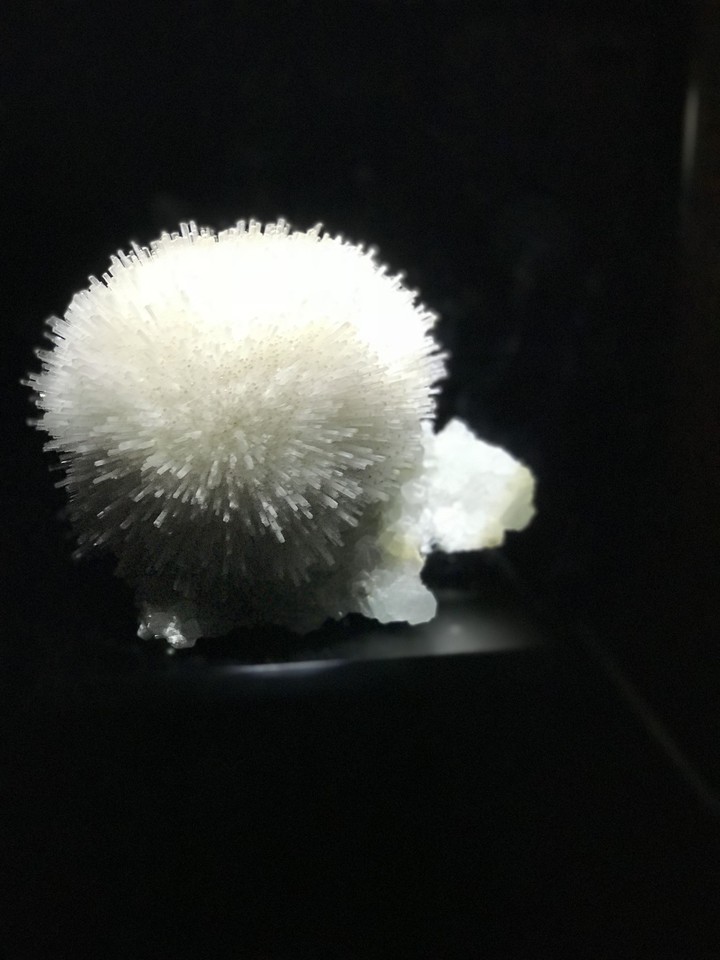 somehow this reminds me of frozen
