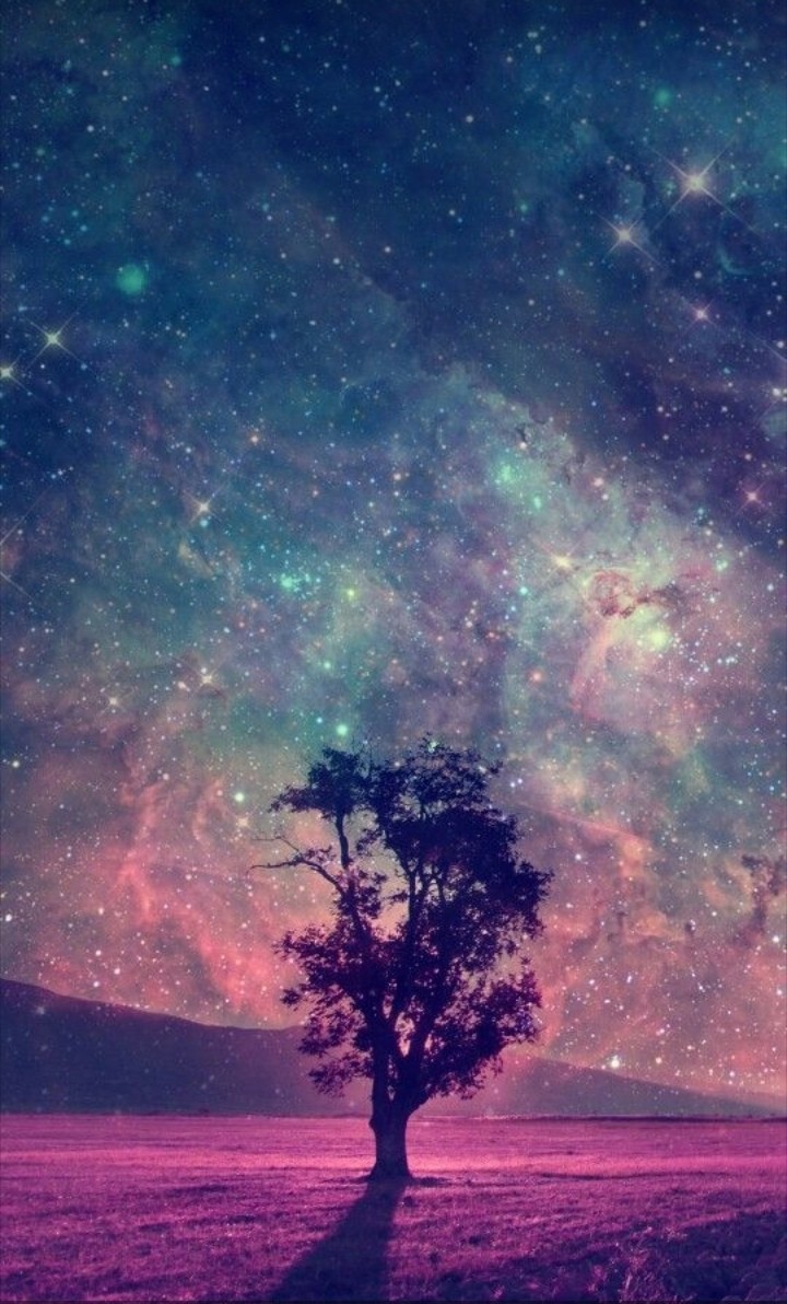 Tree?✨